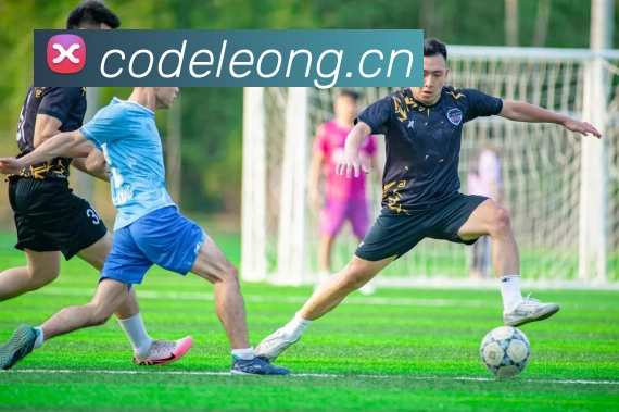 kaiyun官方网站入口服务体系